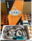 汶萊天然無毒白蝦
