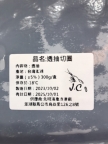 澎湖透抽圈