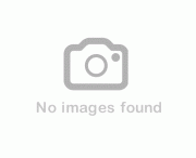 美國原味骰子牛肉 (真空包裝)