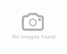 美國見島和牛背肩