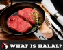 【台中買肉找日盛牛肉】什麼是HALAL清真認證？申請清真認證很難嗎？本篇帶您了解清真認證